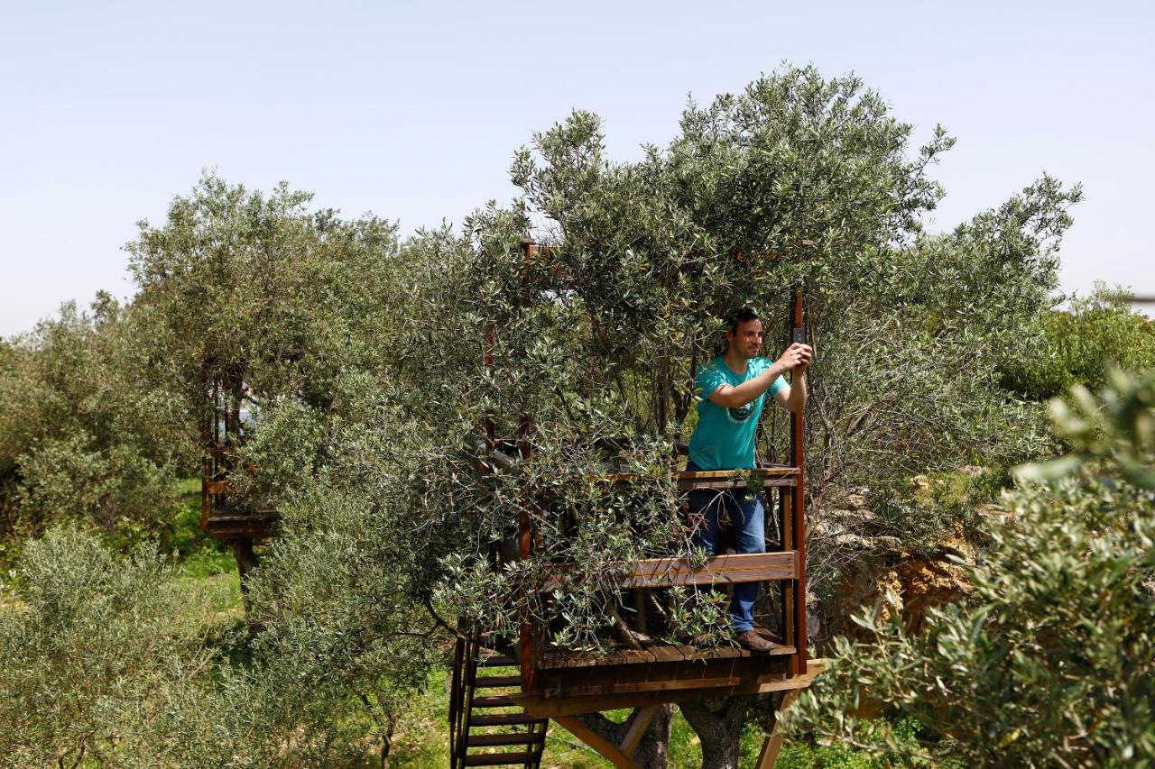 Bed and Breakfast Olá Belém! Cozy Windmill, Stunning views to Lisboa Caparica Exterior foto